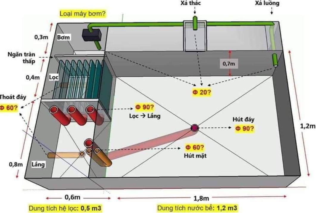 Hệ thống lọc nước hồ cá koi đạt tiêu chuẩn cần có những gì?